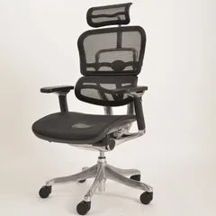 【中古 A(中古品)】Ergohuman Fit(エルゴヒューマン フィット) IOO-AB-3DHAM-KM-10 中古】IOO-AB-3DHAM-KM-10 | エルゴヒューマン Ergohuman Fit