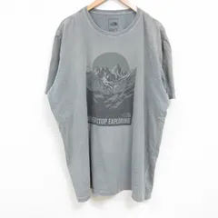 XL/古着 ノースフェイス 半袖 ブランド Tシャツ メンズ 山 大きいサイズ クルーネック グレー 25jun04 中古