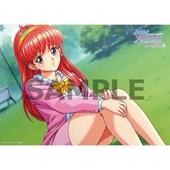 新品未開封 藤崎詩織 ときめきメモリアル forever with you エモーショナル switch  ソフマップ特典「B2タペストリー」