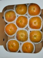太秋柿（たいしゅう）８～１０玉　2.5㎏