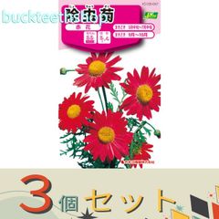 【園芸・農業用品】※３個セット※カネコ種苗　タネ　除虫菊　赤花