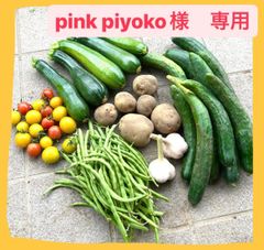 pink piyoko様　専用ページ