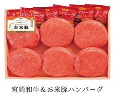 宮崎和牛＆お米豚ハンバーグ 150g×6 都城産 宮崎県産 宮崎 和牛 ギフト