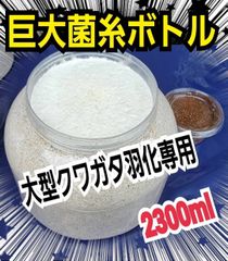 カブトムシの産卵専用 特選ビートルマット【30リットル】オガを植菌で