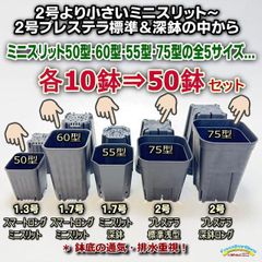 ●平日＊日中注文即日発送-50型・60型・55型・75型の全5サイズを各10鉢⇒合計50鉢セット＊多肉植物・塊根植物コーデックス・アガベ・サボテン・ハオルチア・アデニウム・パキポディウム・実生＠フラワーショップ江口