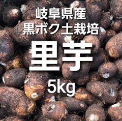 出荷開始！岐阜県産 無農薬 ねっとり 里芋 5kg 土付き 堀り立て発送！