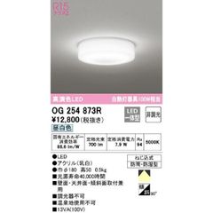 LEDバスルームライト オーデリック OG254873R