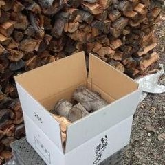 薪　 青森県産りんご木材 (薪10kg) 120サイズ段ボール入
