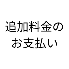 調整用追加料金