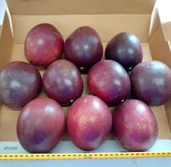 箱いっぱいに詰め込みました！！パッションフルーツ10