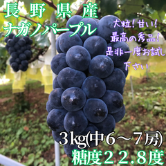 ナガノパープル 長野県 大粒 種無しぶどう 3kg