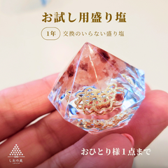 【お試し価格】盛り塩 おしゃれ 交換不要 インテリア セット セット お試し M000 クリスマス 新年 お正月