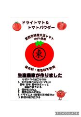愛西市特産　大玉トマト100%使用どえらいトマト　保存料及び着色料不使用