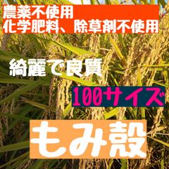 【新鮮で綺麗】農薬不使用 もみがら 籾殻 もみ殻  100サイズ