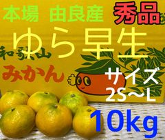 ゆら早生　秀品   サイズ混合　10kg　和歌山　由良産