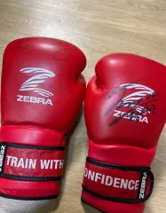 田中恒成 直筆サイン入り ポスター AUTHENTIC AUTOGRAPH 田中恒成 直筆サイン入り ポスター AUTHENTIC AUTOGRAPH 田中恒成 直筆