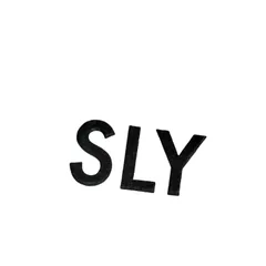 スライ SLY SHEER 2WAY トップス SHEER SK セットアップ レディース FREE のサムネイル
