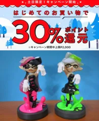 amiibo シオカラーズ　アオリ　ホタル　セット　スプラトゥーン　switch
