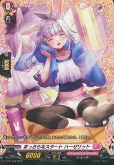 ハーゼリット　デッキパーツ　FR SR 多数 ハーゼリット デッキパーツ FR SR 多数 ハーゼリットデッキ