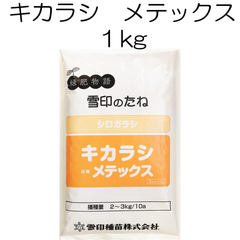 キカラシ種子　メテックス　1kg【種】雪印種苗　緑肥の種　菜の花