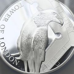 イギリス　50ペンス　ブリタニア銀貨　2014年　NGC PF70UC イギリス 2014 エリザベス2世 2ポンド 1ポンド 50ペンス 20