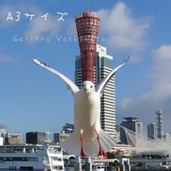 みなと神戸に架ける華 「神戸大橋」 A3サイズ光沢写真縦 写真のみ 送料