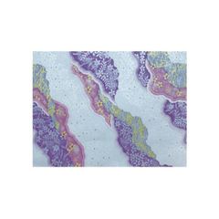 Item thumbnail for item 6574ba02-a44a-4179-957c-86d6671f002b