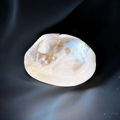 パールシェル イケチョウ貝 天然真珠貝殻 パール 貝 ホワイトセージ パロサント パワーストーンさざれ石 浄化皿