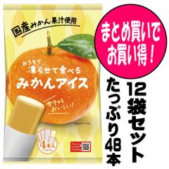 シャーベット アイス おやつ おうちで凍らせて食べるアイス みかん 12袋（48本入）セット お取り寄せグルメ ポイント消化