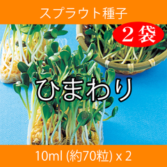 スプラウト種子 S-05 ひまわり 10ml 約70粒 x 2袋