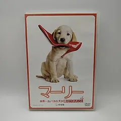 2025年最新】黄金の犬dvdの人気アイテム - メルカリ