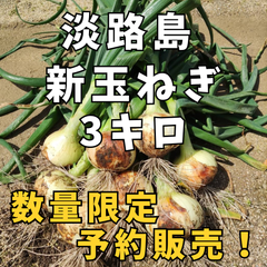 【※予約販売※】 淡路島産 新玉ねぎ 3kg ★リピーター様特典あり★