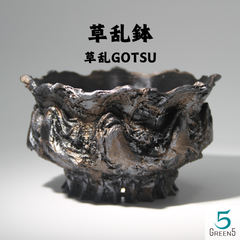 3Dプリント鉢 3Dプリンター鉢 作家鉢 植木鉢 浅鉢 Green5【草乱GOTSU】140mm