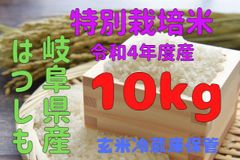 岐阜県特産はつしも白米10kg（特別栽培米）令和4年度産（農家直販）