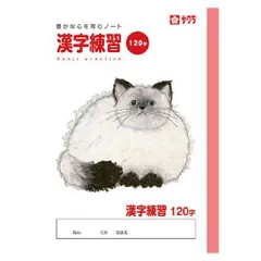 サクラクレパス 漢字120字 NP55のサムネイル