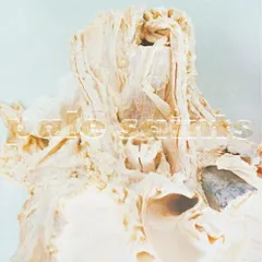 PALE SAINTS / IN RIBBONS (LP) ペイル・セインツ レコード アナログ