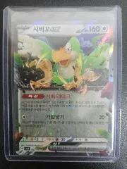 ポケットモンスター シビコ RR