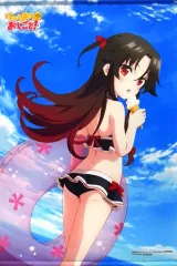 【中古】タペストリー 夜叉神天衣 B2タペストリー 「PS4/Switchソフト りゅうおうのおしごと!」 アニメイト購入特典