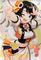 2025年最新】大空スバル タペストリーの人気アイテム - メルカリ