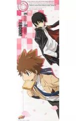 安い家庭教師ヒットマンREBORN! スティックポスターの通販商品を比較