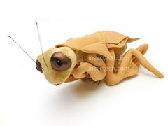 【Insectech Stuffies】ヒシムネカレハカマキリ ぬいぐるみ*注意事項を読んで了承しました