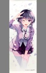 [중고] 태피스트리 히도미 미치루 신작 B2 반재 태피스트리 D [그렇지 않은 그녀의 키우는 방법 후카사키 생활전]]