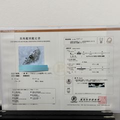 Ｋ１８ＷＧ 限定１点　黒蝶真珠オーロララグーン　ブローチ