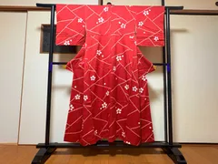 着物 小紋 / 赤色系 / 桜 / 身丈約147cm 裄丈約61cm 袖幅約48.5cm 後幅28cm 前幅24cm TCS着物 W14