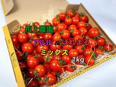 【川上農園】アルル&ほれまるミックス1kg 茨城県つくば市産