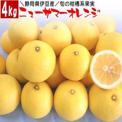 静岡県伊豆産ニューサマーオレンジ4ｋ 今が旬の柑橘系果実 フルーツ 果物 父の日ギフト 贈り物 季節の果物