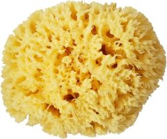 Item thumbnail for item 92a8baed-5e13-49dd-8c68-dbf9fe1af77d