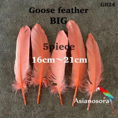 ◾️⭐︎【GB24アプリコット】ガチョウ 羽根 大 5枚 フェザー 鳥の羽根 素材 羽