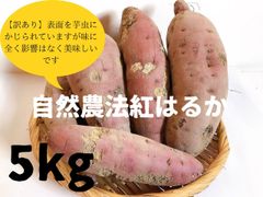 【訳あり】自然農法『紅はるか』(5kg)