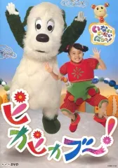 【中古】その他DVD NHK DVD いないいないばあっ!ピカピカブー!